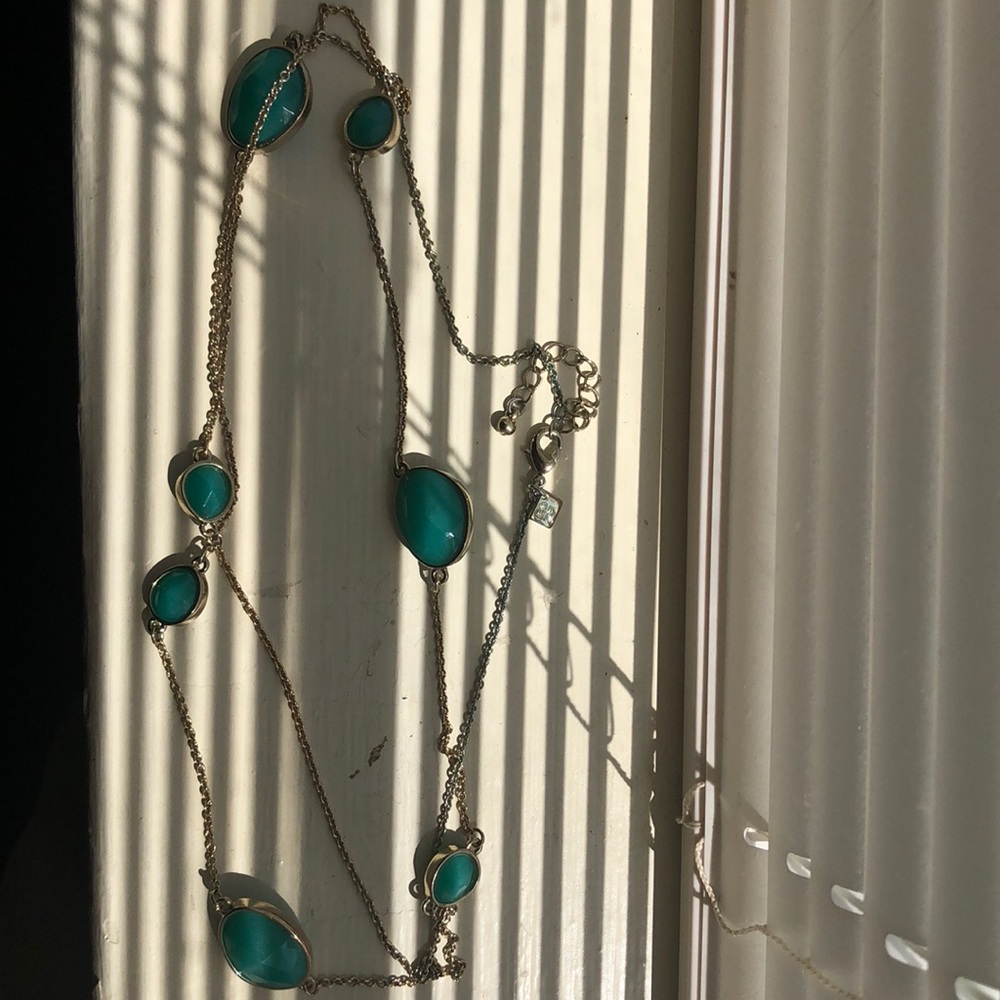 Banana republic long necklace